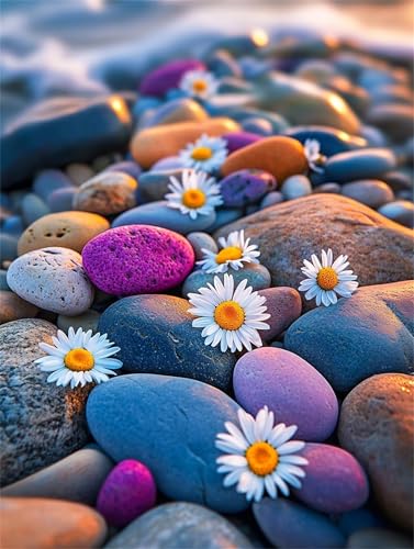 Puzzle 30 Teile für Erwachsene, EIN Herausforderndes Rätsel, Kreative Unterhaltung Puzzles Wunderschönes Dekoration Puzzle Geschenke, Thema:Strand Stein Gänseblümchen von Tainrun