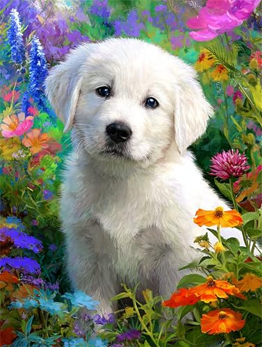 Puzzle 300 Teile für Erwachsene, Niedliches Hundegras 40x28cm Puzzle Erwachsene 300 Teile Lernspiel Herausforderung Spielzeug, Geschicklichkeitsspiel für die ganze Familie Puzzle 300 Teile für Erwachsene, Niedliches Hundegras 40x28cm Puzzle Erwachsene 300 Teile Lernspiel Herausforderung Spielzeug, Geschicklichkeitsspiel für die ganze Familie von Tainrun