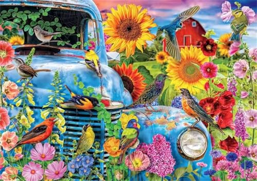 Puzzle 500 Teile Erwachsene,Puzzle für Erwachsene und Kinder 500 Teile,Gehirn-Herausforderung,Puzzles Pädagogisches Spiel,Puzzles mit Auto Vögel-Motiv von Tainrun