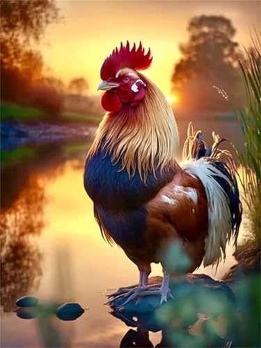 Puzzle 500 Teile Erwachsene,Puzzle für Erwachsene und Kinder 500 Teile,Gehirn-Herausforderung,Puzzles Pädagogisches Spiel,Puzzles mit Hühnersee-Motiv Puzzle 500 Teile Erwachsene,Puzzle für Erwachsene und Kinder 500 Teile,Gehirn-Herausforderung,Puzzles Pädagogisches Spiel,Puzzles mit Hühnersee-Motiv von Tainrun
