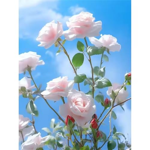 Puzzle 500 Teile Erwachsene,Puzzle für Erwachsene und Kinder 500 Teile,Gehirn-Herausforderung,Puzzles Pädagogisches Spiel,Puzzles mit Sommerblumen-Motiv Puzzle 500 Teile Erwachsene,Puzzle für Erwachsene und Kinder 500 Teile,Gehirn-Herausforderung,Puzzles Pädagogisches Spiel,Puzzles mit Sommerblumen-Motiv von Tainrun