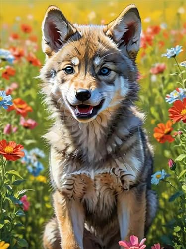 Puzzle 700 Teile Erwachsene,Puzzle für Erwachsene und Kinder 700 Teile,Gehirn-Herausforderung,Puzzles Pädagogisches Spiel,Puzzles mit Prärie für Hunde-Motiv von Tainrun