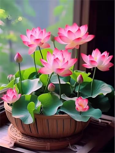 Puzzle 700 Teile Erwachsene,Puzzle für Erwachsene und Kinder 700 Teile,Gehirn-Herausforderung,Puzzles Pädagogisches Spiel,Puzzles mit Rosa Lotus-Motiv von Tainrun