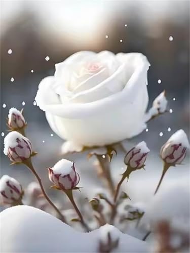 Puzzle 90 Teile Erwachsene Schneeflocken-Rose, DIY Klassische Jigsaw Puzzles Legespiel, Geschicklichkeitsspiel für Die Ganze Familie, Puzzles Farbenfrohes für Home Dekoration von Tainrun