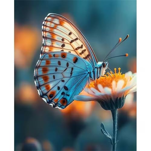 Puzzle für Erwachsene 200 Teile schwer schwierig herausfordernde Jigsaw Puzzle 200 Teile, Kreative Unterhaltung Klassische Puzzles Erwachsene, Home Dekor Puzzles Schmetterlingsblütenstempel Puzzle für Erwachsene 200 Teile schwer schwierig herausfordernde Jigsaw Puzzle 200 Teile, Kreative Unterhaltung Klassische Puzzles Erwachsene, Home Dekor Puzzles Schmetterlingsblütenstempel von Tainrun