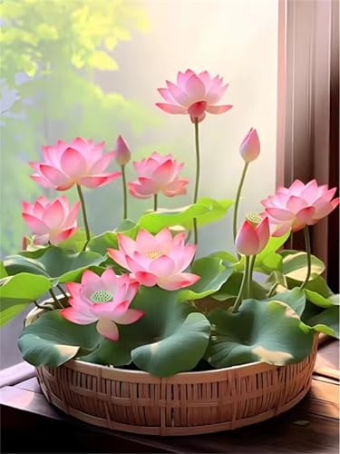 Rosa Lotus Natur Jigsaw Puzzles for Adults 1000 Jigsaw Puzzles Adults,1000 Pieces Puzzle Educational Challenge Toy Games Beautiful Home Decoration Puzzle von Tainrun