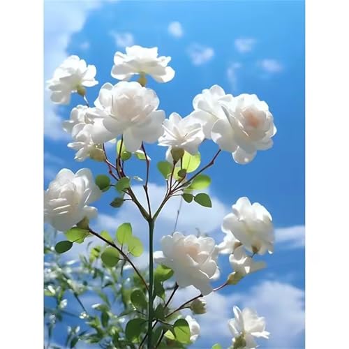 Weiße Wolke Jigsaw Puzzles for Adults 1200 Jigsaw Puzzles Adults,1200 Pieces Puzzle Educational Challenge Toy Games Beautiful Home Decoration Puzzle von Tainrun