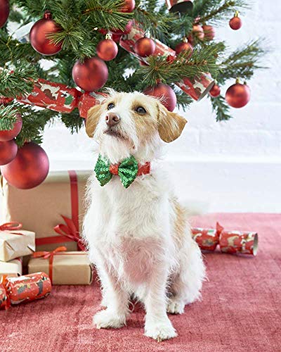 Talking Tables Christmas Gifts for Dogs Dress Up Bow Tie | Red Green Talking Tables Christmas Gifts for Dogs Dress Up Bow Tie | Red Green von Talking Tables