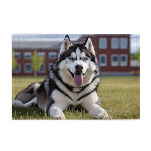 Hund Puzzle 2000 Teile Erwachsene Landschaft, Puzzles mit Verpackung Box und Poster, Lustig Stress Abbauen Familien Unterhaltungsspiele für Raumdekoration, Kreative Geschenke für Männer/Frauen 1T-1805 von Tamalsj