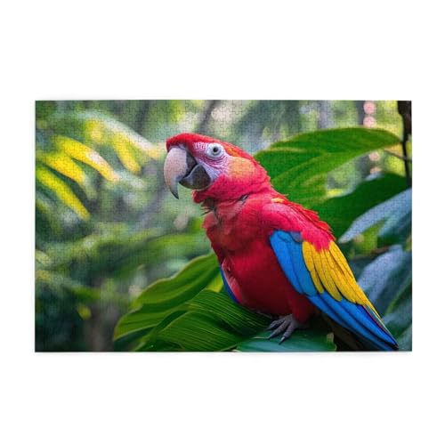 Papagei Puzzle 1000 Teile Erwachsene Landschaft, Puzzles mit Verpackung Box und Poster, Lustig Stress Abbauen Familien Unterhaltungsspiele, Kreative Geschenke für Männer/Frauen Raumdekoration 1T-1833 von Tamalsj