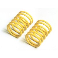 TAMIYA 300053631 TRF Federn-Set Mittel/kurz (2 TAMIYA 300053631 TRF Federn-Set Mittel/kurz (2 von Tamiya