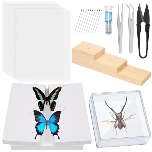 Tanstische Insekt Probe Werkzeuge Kit Insekt Pins Insekt Display Case Flügel Pressen Papier Insekt Pin Board Insekt Pinzette Pinzette Schere für Bugs Sammlung von Tanstic