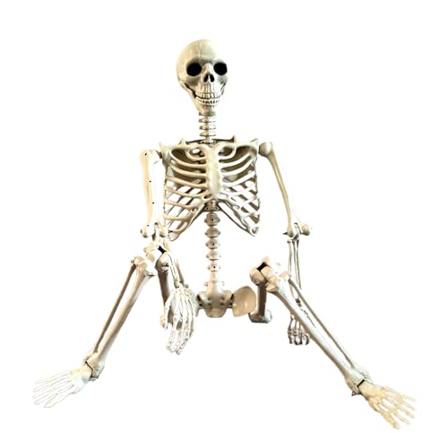Tanxemery 90cm Halloween Skelett Posierbare Ganzkörperskelette Mit Beweglichen Gelenken Gruselige Fotorequisiten Gartendekoration Dekorative Für Halloween Requisiten Gruselige Party-Dekoration Tanxemery 90cm Halloween Skelett Posierbare Ganzkörperskelette Mit Beweglichen Gelenken Gruselige Fotorequisiten Gartendekoration Dekorative Für Halloween Requisiten Gruselige Party-Dekoration von Tanxemery