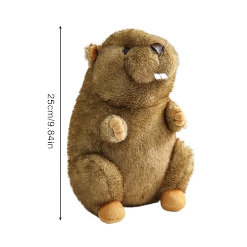 Tanxemery Niedliches Kuscheltier - Plüschtier | Süße Kuschelkissen Geschenkideen Zum Geburtstag Weihnachten Valentinstag Für Kinder Tanxemery Niedliches Kuscheltier - Plüschtier | Süße Kuschelkissen Geschenkideen Zum Geburtstag Weihnachten Valentinstag Für Kinder von Tanxemery