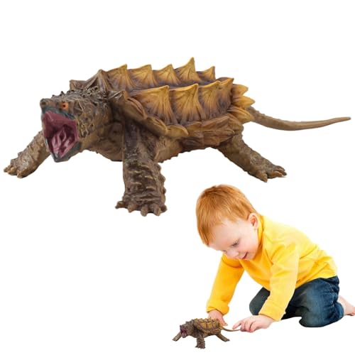 Tanxier Schnappschildkrötenfiguren, Schildkrötenfiguren, Realistisches Schnappschildkrötenspielzeug, Reptilien -Tiersammlung, Heimdekoration für Tischregal, Bildungsspielzeug für Mädchen Tanxier Schnappschildkrötenfiguren, Schildkrötenfiguren, Realistisches Schnappschildkrötenspielzeug, Reptilien -Tiersammlung, Heimdekoration für Tischregal, Bildungsspielzeug für Mädchen von Tanxier