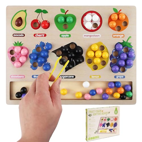 Taozoey Montessori Spielzeug, Sortierspielzeug aus Holz, Sensorik Spielzeug Lernspiele Spielzeug für Vorschule für Feinmotorik Farbsortierung und Zählen, Geschenk ab 3 4 5 Jahr von Taozoey