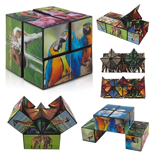 2 in 1 Magic Cube Set,Wildtier Infinity Cube,Sternenwürfel Zauberwürfel Set,Sternenklarer Himmel Zauberwürfel Infinity,Zauberwurfel Spiele,Kreative Stressabbau Spielzeug für Kinder Erwachsene von Taufe