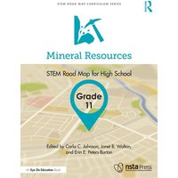 Mineral Resources, Grade 11 von Taylor and Francis