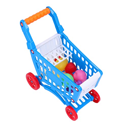 Tbest Kids Shopping Cart Trolley Play Set, Day Set Educational Carts Lebensmittel mit Vorgetäuschten Lebensmitteln, für die Lernentwicklung, Kinderblau -Spielzeugentwicklungsblue (Blue) von Tbest
