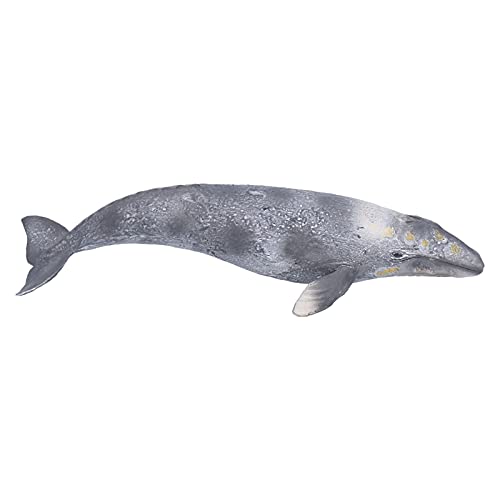 Tbest Wale Figur, Simulierte Grauwale FigurenAsämmere Sea World Gefälschte Fisch Lernmodell Spielug Kunstandhandwerklichs Spielugau Tbest Wale Figur, Simulierte Grauwale FigurenAsämmere Sea World Gefälschte Fisch Lernmodell Spielug Kunstandhandwerklichs Spielugau von Tbest