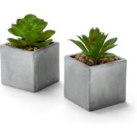 Tchibo - 2 Mini-Kunstpflanzen in Töpfchen - grau von Tchibo