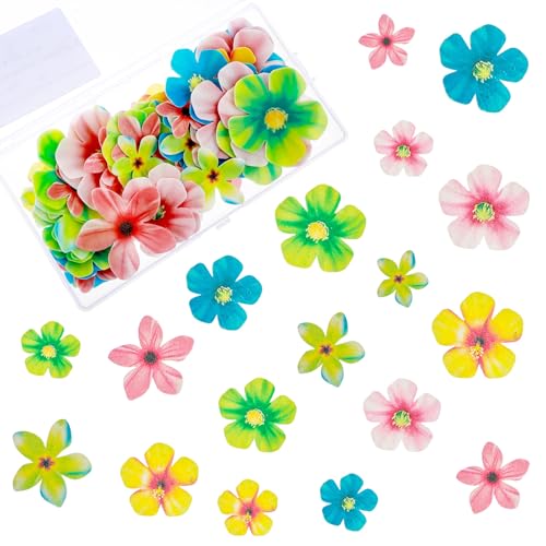 70 Stück Essbare Blüten Tortendeko, Bunte Essbar Kirschblüte Muffin Deko Küchendeko Kirschblüte Tortendeko Essbar Esspapier Blumen Dekorationen für Hochzeit Geburtstag Party Kuchen Dekorationen von Teaaha