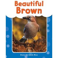Beautiful Brown von Teacher Created Materials