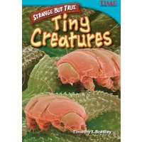 Straight Talk: Tiny Creatures von Teacher Created Materials