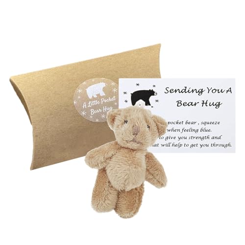 Teaque Mini Plüschbären Kleine, Kleiner Taschen Tasche Bären Umarmung,Teddybär Kleine Taschen für Geschenke Weihnachten,Dusche,Freund,Geburtstagsgeschenk,Kleiner Geschenke für Fernbeziehungen. von Teaque