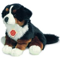 Berner Sennenhund, sitzend, 29 cm von Teddy-Hermann