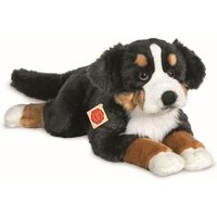 Berner Sennenhund liegend von Teddy-Hermann