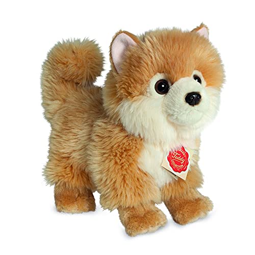 Teddy Hermann 91922 Hund Zwergspitz 22 cm, Kuscheltier, Plüschtier von Hermann Teddy