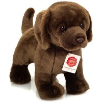 Teddy Hermann 91997 - Labrador braun stehend, Plüsch, 30 cm Teddy Hermann 91997 - Labrador braun stehend, Plüsch, 30 cm von Teddy Hermann