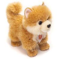 Zwergspitz, 22 cm Zwergspitz, 22 cm von Teddy-Hermann