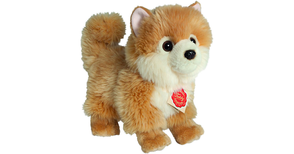 Zwergspitz stehend, 22 cm von Teddy-Hermann