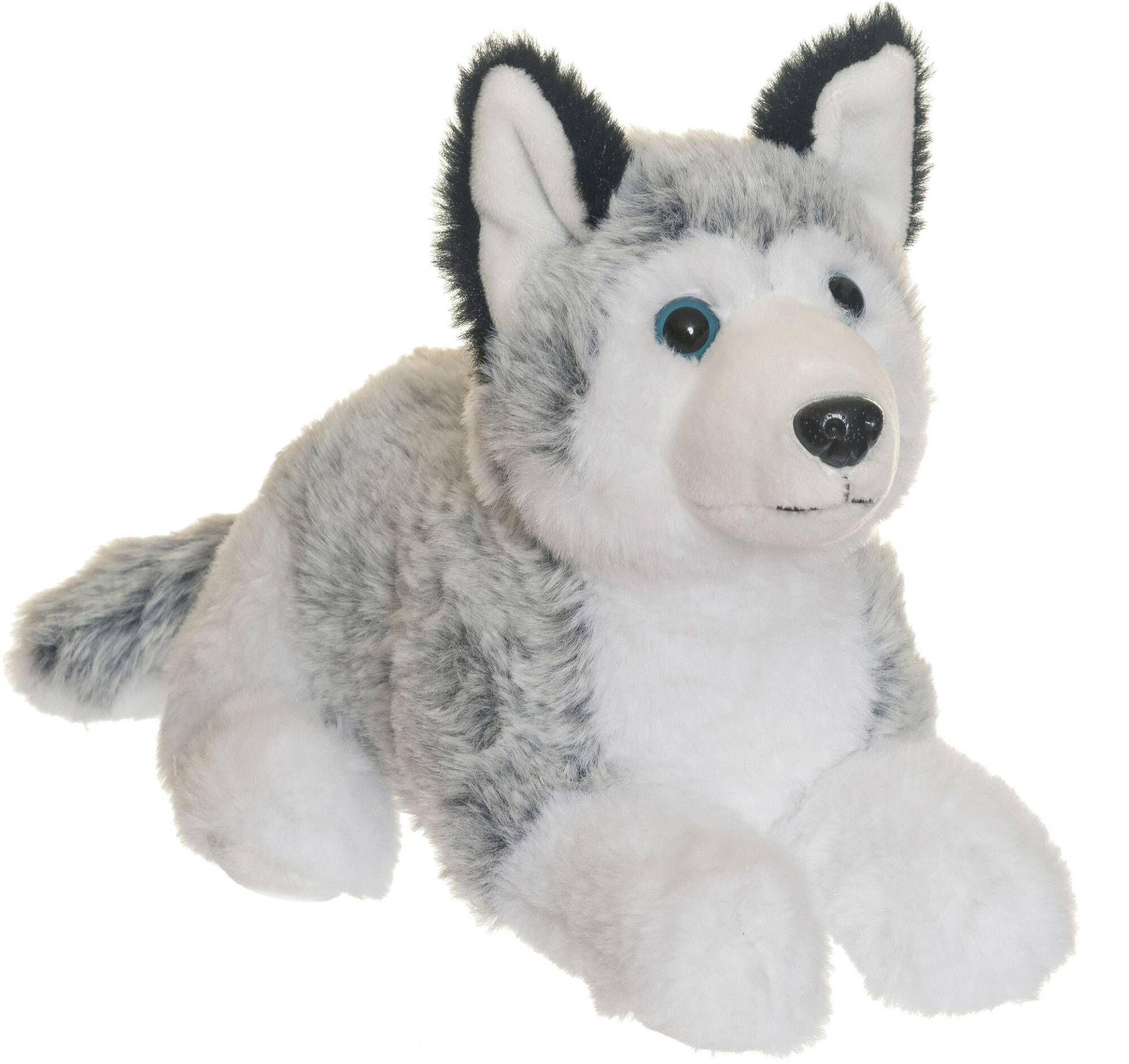Teddykompaniet Kuscheltier Husky 25 cm Teddykompaniet Kuscheltier Husky 25 cm von Teddykompaniet