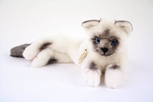 Teddys Rothenburg Kösen, Birmakätzchen, liegend, 41 cm, weiß/grau, Plüschbirmakatze Teddys Rothenburg Kösen, Birmakätzchen, liegend, 41 cm, weiß/grau, Plüschbirmakatze von Teddys Rothenburg