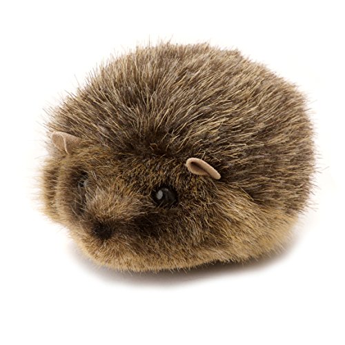 Teddys Rothenburg Kösen, Igelchen, 11 cm, liegend, grau, Stoffigel, Stoffigelchen Teddys Rothenburg Kösen, Igelchen, 11 cm, liegend, grau, Stoffigel, Stoffigelchen von Teddys Rothenburg