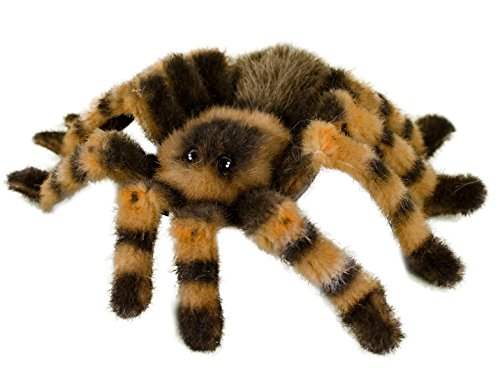 Teddys Rothenburg Kösen, Rotknievogelspinne, 22 cm, schwarz/braun, Plüschvogelspinne Teddys Rothenburg Kösen, Rotknievogelspinne, 22 cm, schwarz/braun, Plüschvogelspinne von Teddys Rothenburg