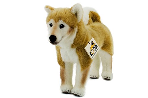 Teddys Rothenburg Kösen, Shiba-Inu, 28 cm, stehend, orange/weiß, Stoffshiba-Inu, Plüschhund Teddys Rothenburg Kösen, Shiba-Inu, 28 cm, stehend, orange/weiß, Stoffshiba-Inu, Plüschhund von Teddys Rothenburg
