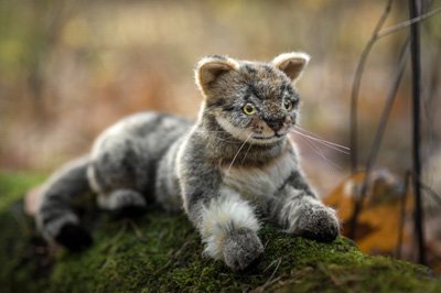 Teddys Rothenburg Kösen, Wildkatze Peppi, 29 cm, liegend, braun/schwarz gestreift, Plüschwildkatze von Teddys Rothenburg