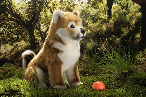 Teddys Rothenburg Kösen Shiba-Inu Welpe sitzend 22 cm von Teddys Rothenburg