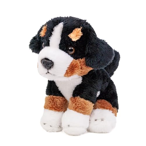 Teddys Rothenburg Kuscheltier Berner Sennenhund klein sitzend 15 cm Plüschbernersennen Stoffhund von Teddys Rothenburg