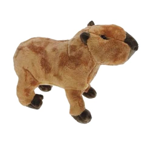 Teddys Rothenburg Kuscheltier Capybara/Wasserschwein braun 20 cm stehend Plüschtier Plüschcapybara Teddys Rothenburg Kuscheltier Capybara/Wasserschwein braun 20 cm stehend Plüschtier Plüschcapybara von Teddys Rothenburg