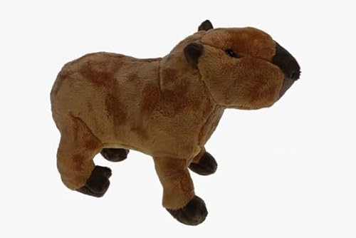 Teddys Rothenburg Kuscheltier Capybara/Wasserschwein braun 20 cm stehend Plüschtier Plüschcapybara von Teddys Rothenburg