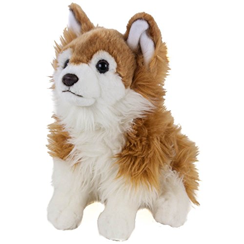 Teddys Rothenburg Kuscheltier Chihuahua, 30 cm, braun, Plüschchihuahua Plüschhund von Teddys Rothenburg