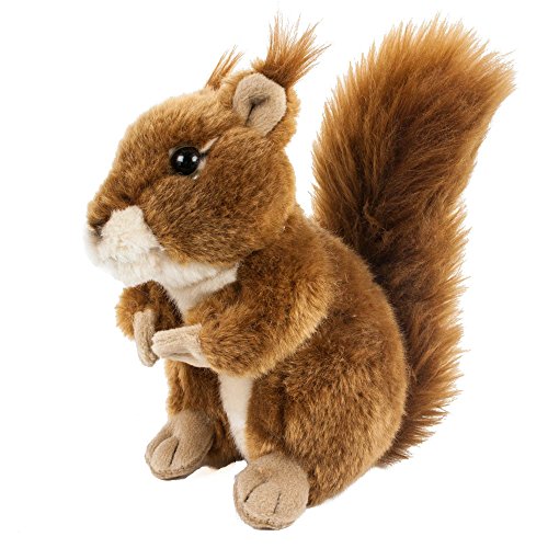 Teddys Rothenburg Kuscheltier Eichhörnchen 16 cm stehend braun Plüscheichhörnchen Plüschtier by Uni-Toys von Teddys Rothenburg