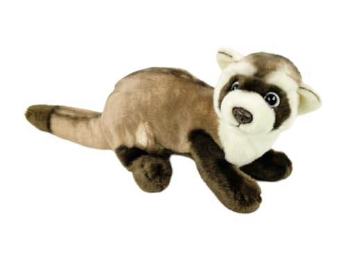 Teddys Rothenburg Kuscheltier Frettchen Hellbraun 30 cm Plüschfrettchen by Uni-Toys Teddys Rothenburg Kuscheltier Frettchen Hellbraun 30 cm Plüschfrettchen by Uni-Toys von Teddys Rothenburg