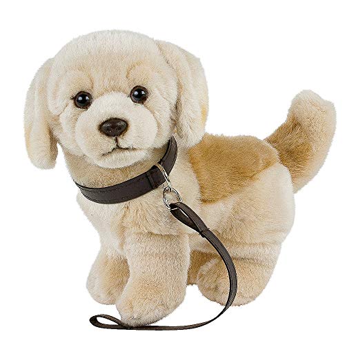 Teddys Rothenburg Kuscheltier Golden Retriever/Labrador hell mit Leine 23 cm blond Plüschhund Stofftier Plüschtier Kinder Baby Spielzeug by Uni-Toys von Teddys Rothenburg