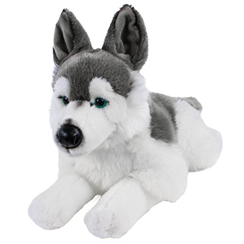 Teddys Rothenburg Kuscheltier Husky Skalli liegend grau/weiß 44 cm Plüschhusky Schlittenhund Uni-Toys Teddys Rothenburg Kuscheltier Husky Skalli liegend grau/weiß 44 cm Plüschhusky Schlittenhund Uni-Toys von Teddys Rothenburg